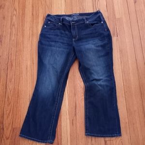 Maurices size 18 short jeans